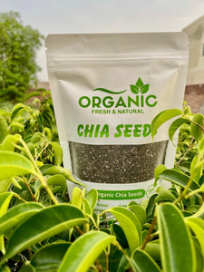 Chia Seed | Rich in omega-3 and Omega-6 Superfood
